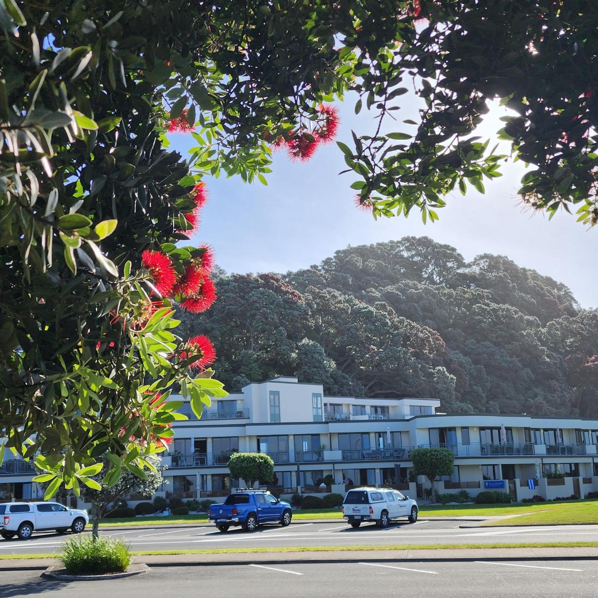 Beachpoint Apartments Ohope Exterior photo